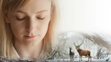 Zasłona do filmu "Dusza i ciało" #231111