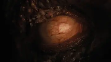 Zasłona do filmu "Omen. Początek" #596784