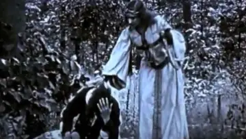 Zasłona do filmu "Robin Hood" #1161541
