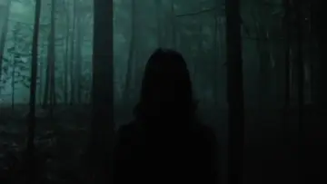Zasłona do filmu "Slender Man" #323561