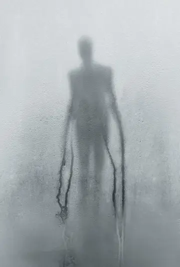 Plakat do filmu "Slender Man" #323570
