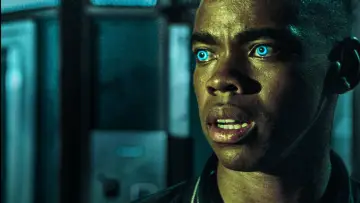 Zasłona do filmu "Pierwsza Noc Oczyszczenia" #308707