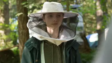 Zasłona do filmu "Zatrzyj ślady" #934332