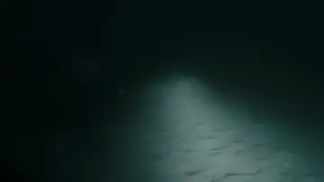 Zasłona do filmu "Głębia strachu" #660010