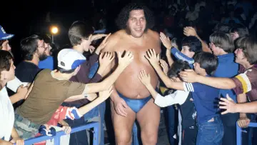 Zasłona do filmu "Andre the Giant" #433610