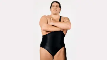 Zasłona do filmu "Andre the Giant" #433612
