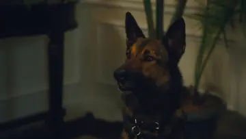 Zasłona do filmu "Max 2. Bohater Białego Domu" #345883