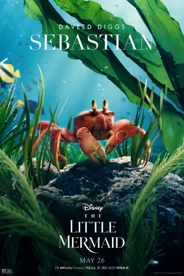 Plakat do filmu "Mała syrenka" #5591