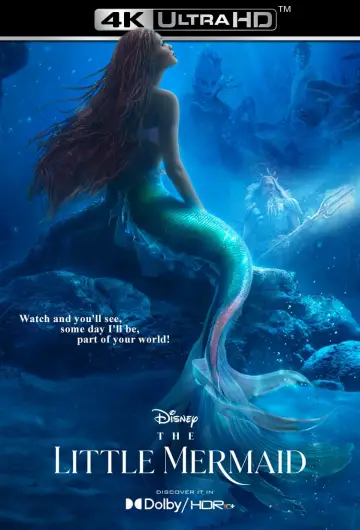 Plakat do filmu "Mała syrenka" #5638