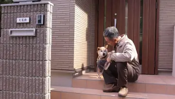 Zasłona do filmu "Inuyashiki" #335756