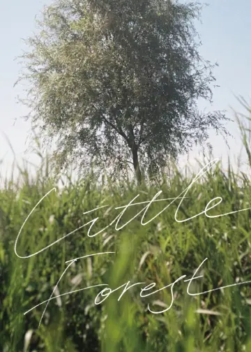 Plakat do filmu "Kawałek ziemi" #905881