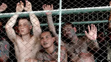 Zasłona do filmu "Modlitwa przed świtem" #265751