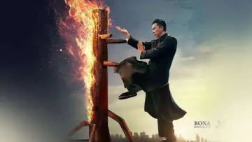 Zasłona do filmu "Ip Man 4" #228208
