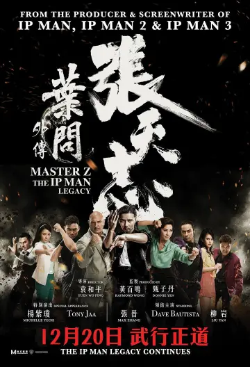 Plakat do filmu "Mistrz Z: W Cieniu Ip Mana" #808511