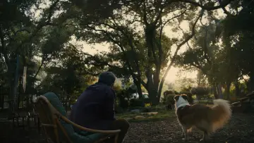 Zasłona do filmu "Mój piękny syn" #693590