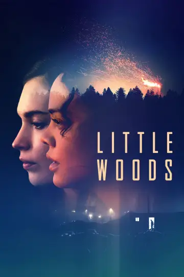 Plakat do filmu "Little Woods" #1867834