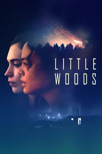 Plakat do filmu "Little Woods" #1867835