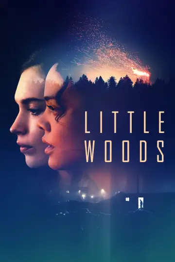 Plakat do filmu "Little Woods" #1867836