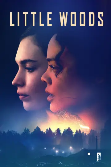 Plakat do filmu "Little Woods" #1867837