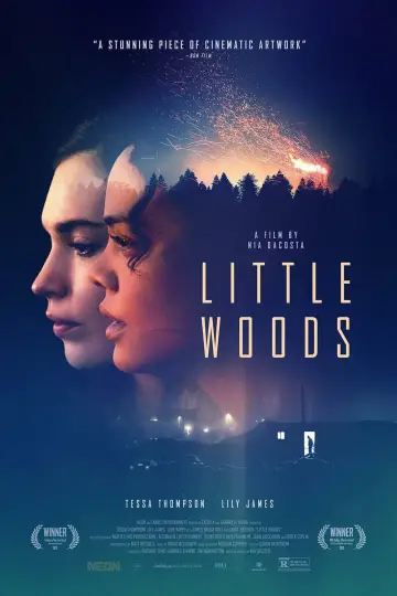 Plakat do filmu "Little Woods" #1867839