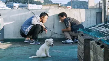 Zasłona do filmu "보안관" #1619945