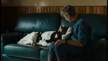 Zasłona do filmu "Cierpkie mleko" #700486