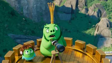 Zasłona do filmu "Angry Birds: Film 2" #240093