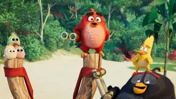 Zasłona do filmu "Angry Birds: Film 2" #240094