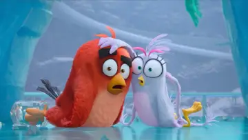 Zasłona do filmu "Angry Birds: Film 2" #801764