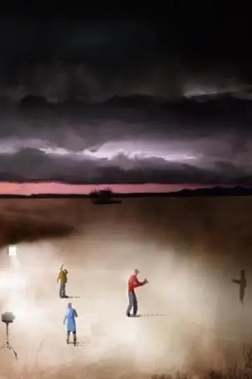Plakat do filmu "The Field" #1145597