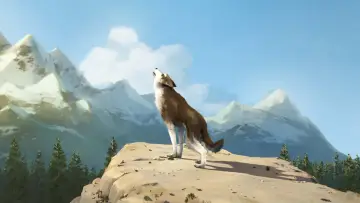 Zasłona do filmu "Biały Kieł" #341504