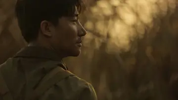 Zasłona do filmu "芳华" #1031498