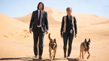 Zasłona do filmu "John Wick 3" #169728