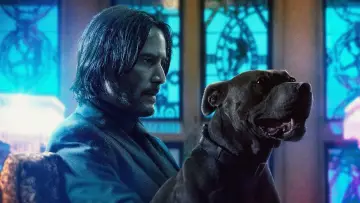 Zasłona do filmu "John Wick 3" #169733