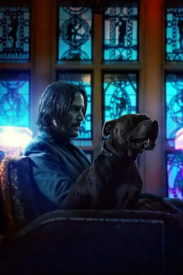 Plakat do filmu "John Wick 3" #169870