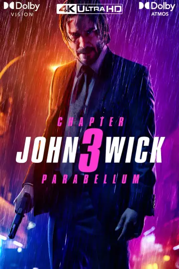 Plakat do filmu "John Wick 3" #169886