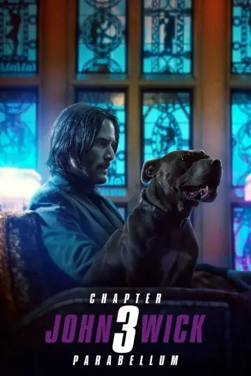Plakat do filmu "John Wick 3" #19407