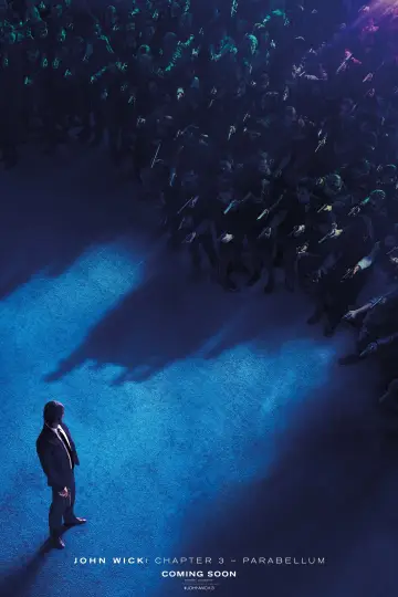 Plakat do filmu "John Wick 3" #19408