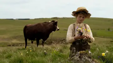 Zasłona do filmu "Przygody małego Remiego" #182725