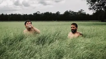 Zasłona do filmu "Sokół z masłem orzechowym" #945236