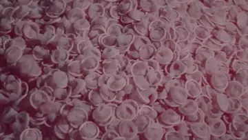 Zasłona do filmu "セックス喜劇　鼻血ブー" #1161204