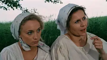 Zasłona do filmu "Tabu" #1807605