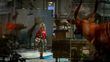 Zasłona do filmu "Wonder Woman 1984" #313713