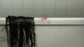 Zasłona do filmu "The Grudge: Klątwa" #330201