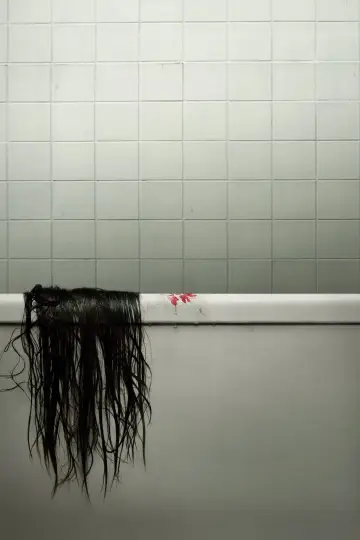 Plakat do filmu "The Grudge: Klątwa" #330208