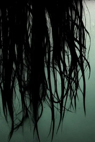 Plakat do filmu "The Grudge: Klątwa" #870855