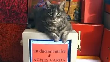 Zasłona do filmu "Hommage à Zgougou (et salut à Sabine Mamou)" #1147984