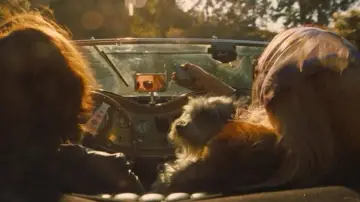 Zasłona do filmu "Pewnego razu… w Hollywood" #912011