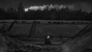 Zasłona do filmu "Strefa interesów" #611310