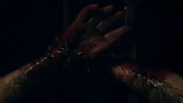Zasłona do filmu "Mandy" #1731829